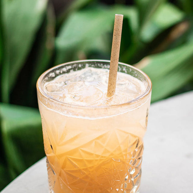 Agave Straws Individually Wrapped Plant Based party wedding venue