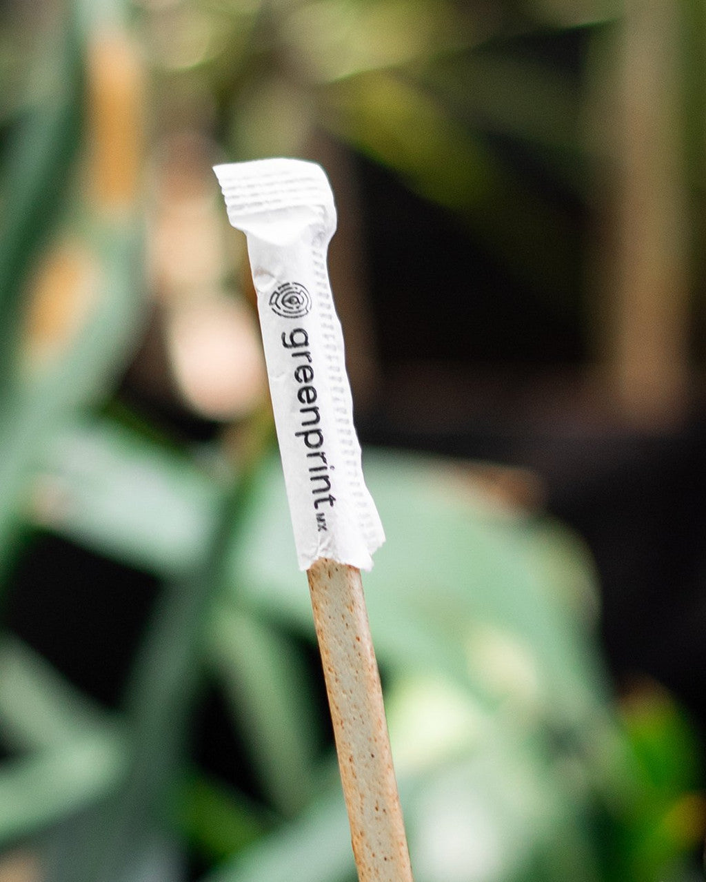 Agave Straws Individually Wrapped Plant Based party wedding venue