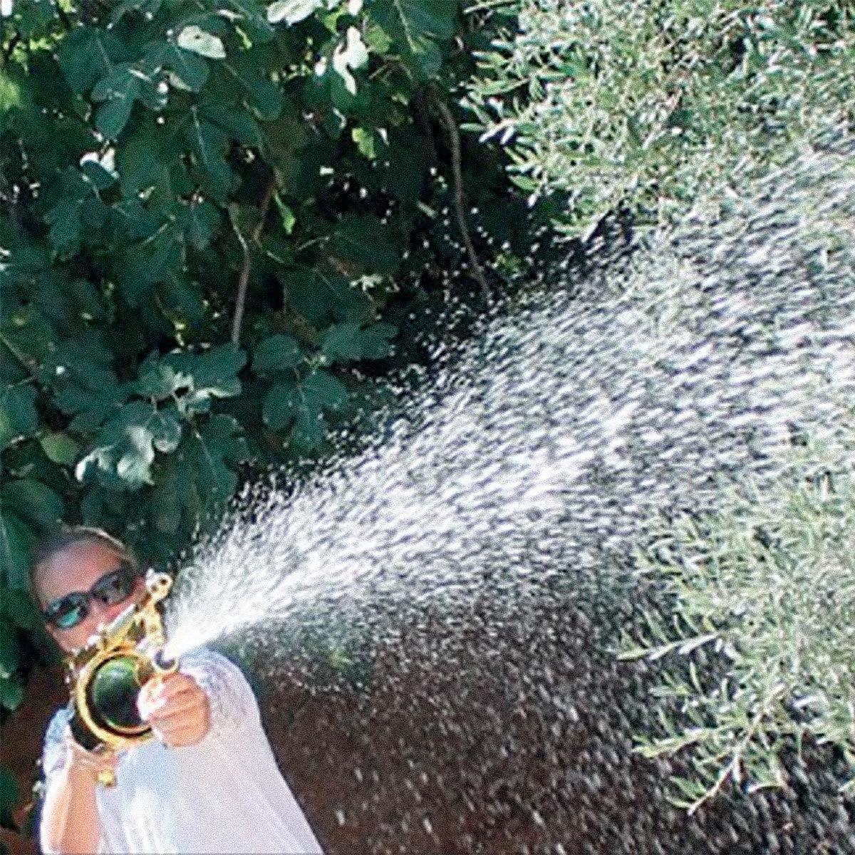 person spraying a champagne gun