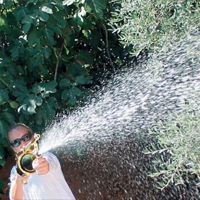 person spraying a champagne gun