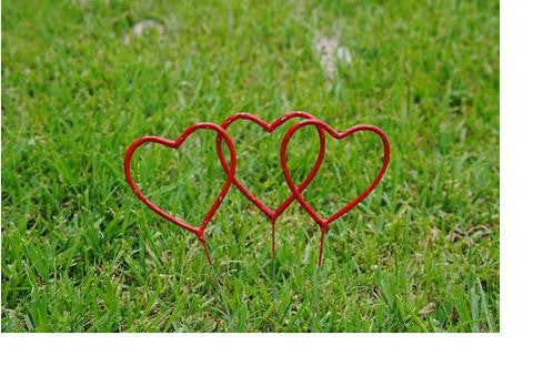 RED heart sparklers pack of 24